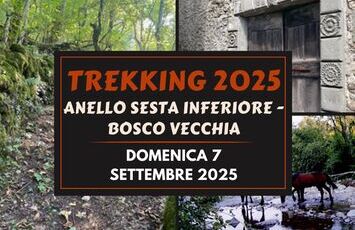 Anello Sesta Inferiore - Bosco Vecchia
